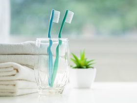 Toothbrush, Brush, Tool